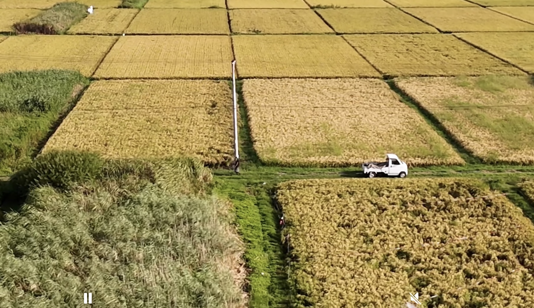 スマート農業支援